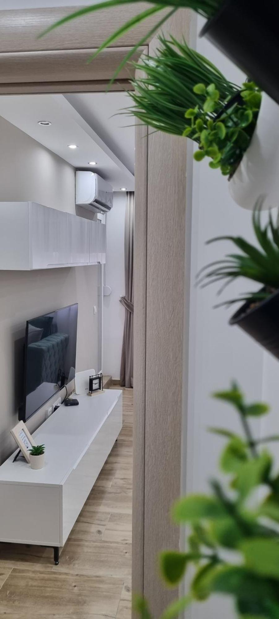 Apartman Ivkovic Sremska Mitrovica Exteriör bild